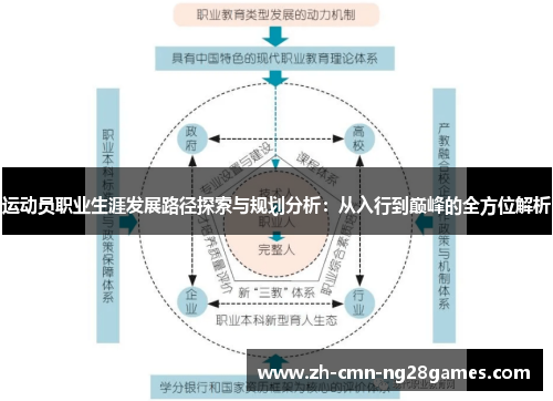 运动员职业生涯发展路径探索与规划分析：从入行到巅峰的全方位解析