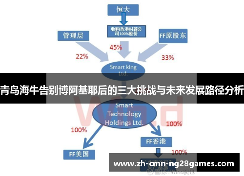 青岛海牛告别博阿基耶后的三大挑战与未来发展路径分析 青岛海牛告别博阿基耶后的三大挑战与未来发展路径分析