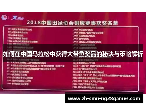 如何在中国马拉松中获得大带鱼奖品的秘诀与策略解析