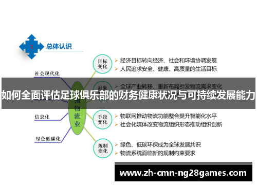 如何全面评估足球俱乐部的财务健康状况与可持续发展能力